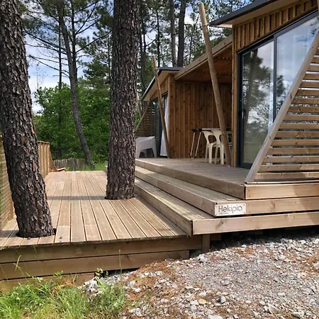 Premium 6 Piscine Partagee Les Vans